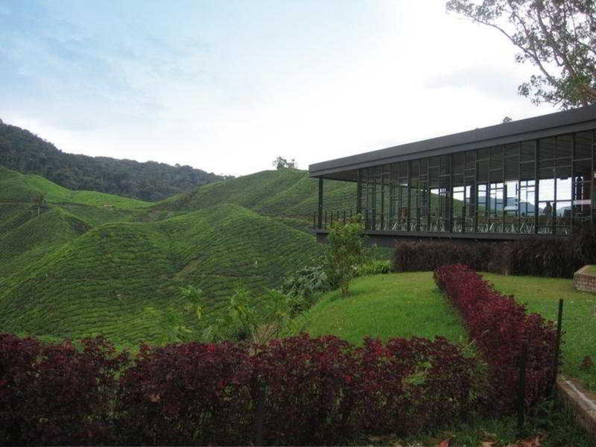 Century Pines Resort Cao nguyên Cameron Ngoại thất bức ảnh